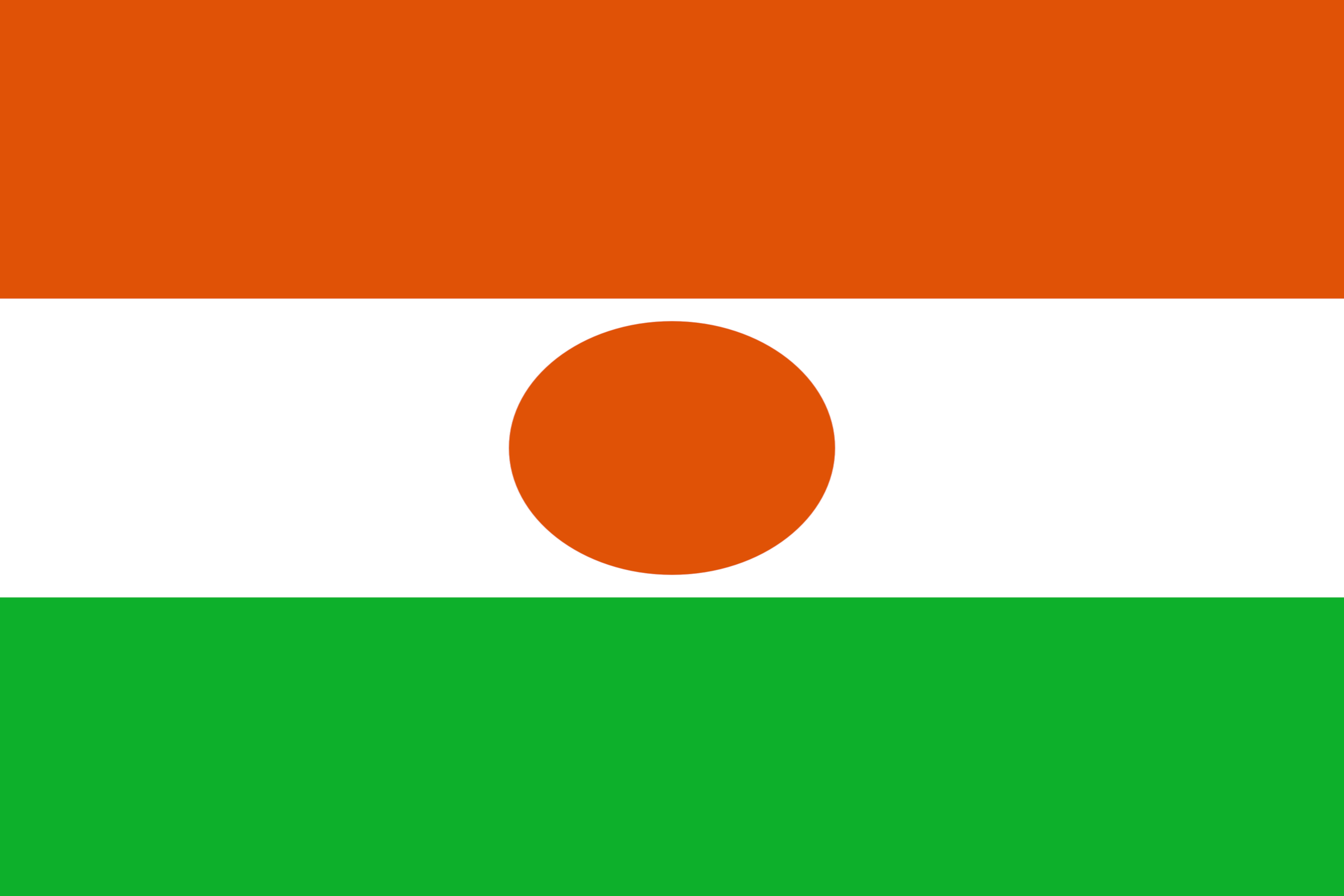 Drapeau de la République du NIGER
